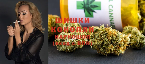 СК Коряжма
