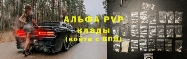 сатива Куйбышев