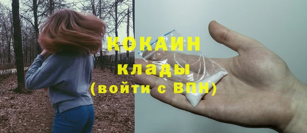 СК Коряжма