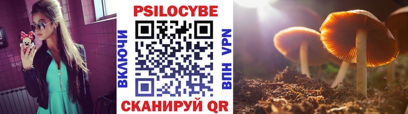 Галлюциногенные грибы прущие грибы  Купить где  Геленджик 